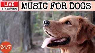 🔴[LIVE] Dog Music🎵🐶Dog Calming Music🐶💖Separation Anxiety Relief💖🦮Relaxing Music for Dog Sleep🔴23