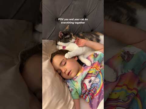 When your kitten is your best friend 🥹 #cats #catlover