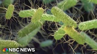 YouTube video thumbnail: Salmonella Outbreak Expands to 27 States 
