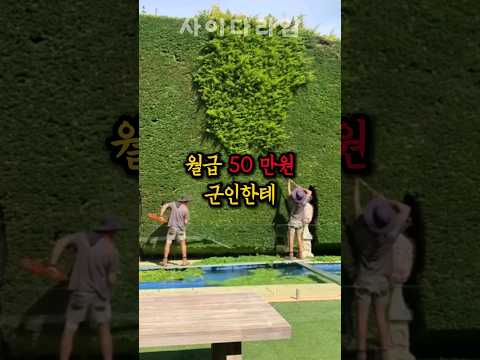 월급 50만원 받는 군인 부려먹는 시골 마을
