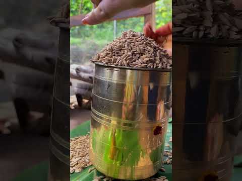 எங்க கனவு வீடு | House Warming celebration | Dream House in kodaikanal | Tamil Native Farmer #farm