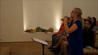 HDS Moravské děti - Vlaštovička lítá