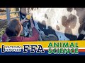 FFA Livestock Program Knowledge