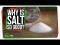 Understanding the Role of Salt in Flavor Perception