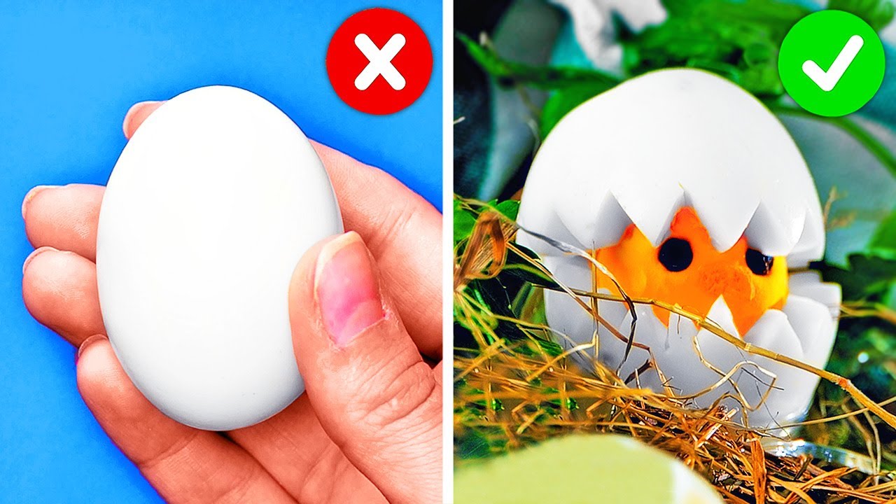 Egg hacks that will surprise you -- delicious egg recipes for everyone