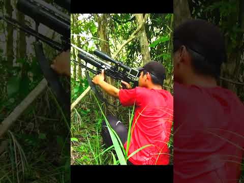 Berburu menembak burung hutan liar
