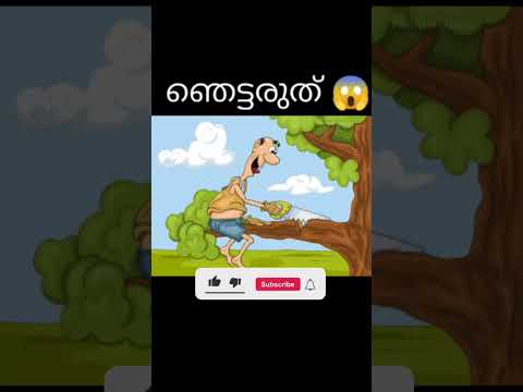 ഇത്രയും പ്രദീക്ഷിച്ചില്ല!!!! 😳 [ NISHU 4 SHORTS ] unknown facts | facts Malayalam #shorts  #viral
