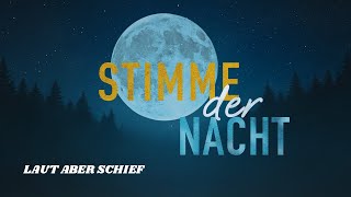 LAUT ABER SCHIEF - "STIMME DER NACHT"  (Offizielles Video)