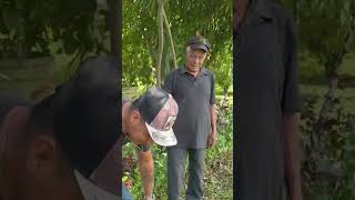 Mechito le ganó Q100 a El Tieso 😂