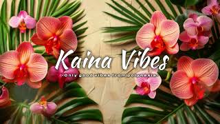 Aller plus haut - remix zouk (Kaina Vibes)