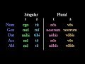 Exploring Personal Pronouns in Latin