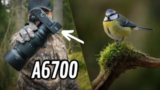 What a Magical Morning! - A6700 in Action + DIY Reflection Pool Build