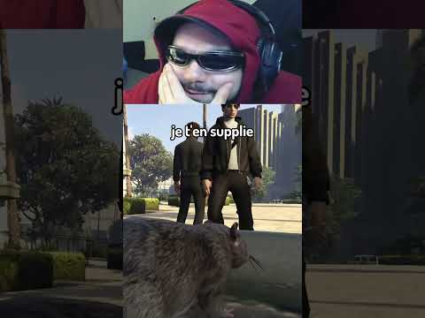 "Va sur GTA RP et FAIS /ANIMAL" 💀