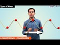 Exploring Longitudinal and Transverse Waves