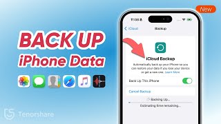 How to Backup iPhone with Free iCloud Space & to PC  - 3 Ways | iPhone Full Backup