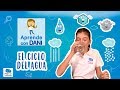 El Ciclo del Agua