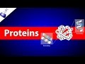 Exploring Protein Structures and Synthesis