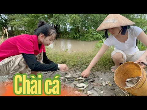 Cô Gái Quê ✅ Cùng Cậu tư dầm mưa đi chài cá trắng về chiên giòn