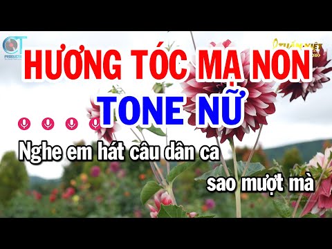 Karaoke Hương Tóc Mạ Non Tone Nữ ( Am ) Nhạc Sống Mới | Karaoke Tuấn Kiệt