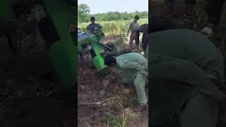 Garlic Harvaesting in My Village !! Vlog