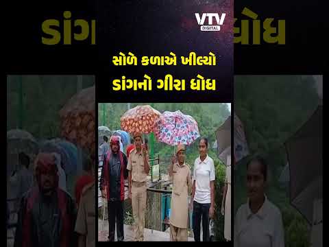 ડાંગમાં ભારે વરસાદ વરસતા અંબિકા નદી પરનો ગીરા ધોધ સોળે કળાએ ખીલ્યો, નયનરમ્ય દ્રશ્ય સર્જાયું