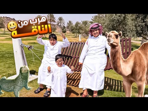 رحنا ندور ضبان وحمودي هرب من الناقه🤣