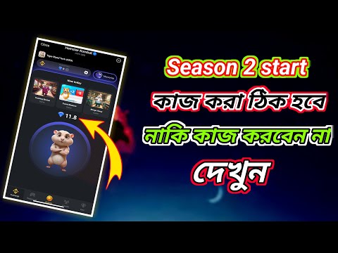 Hamster Kombat Seeson 2 কাজ করবেন নাকি করবেন না জানুন। Tiger Riyad Tech