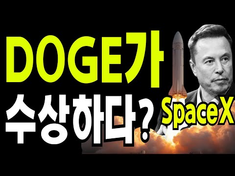 비트코인 도지코인 리플코인  🔥도지코인이 수상하다?   🔥