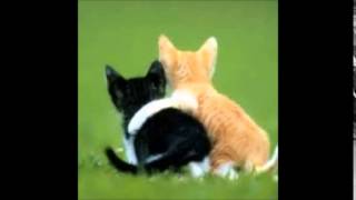 freundschaft