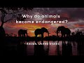 Understanding Endangered Species