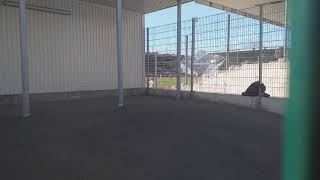 9.5.2021 - Energie Cottbus 0:3 SV Babelsberg 03 - Lapo Halbfinale vorm Stadion
