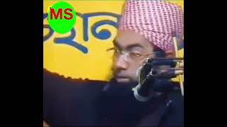 হাফেজ মাওলানা যুবায়ের আহমদ আনছারী।