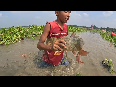 Incredible Hand Fishing by Village Boy – Huge Fish Caught Bare-Handed!