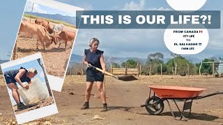 We Left Canada for THIS...... Cleaning Cow Poop Every Day in El Salvador. 