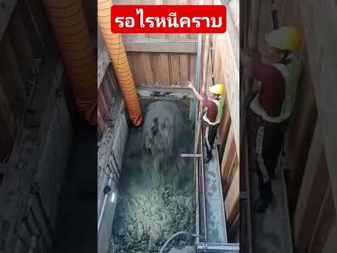 ใครจะอยู่ #funny #calmdownchallenge #dance #edms #monkey #comedy #automobile #cat #duet #memes