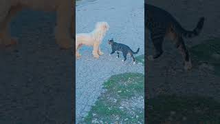Bulharsko | Taková obyčejná procházka | My v Bulharsku #bulharsko #zivotvbulharsku