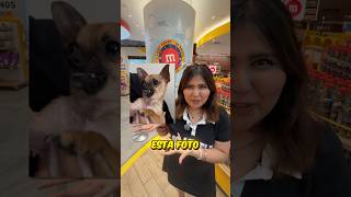 EL CHOCOLATE DE MI PERRO