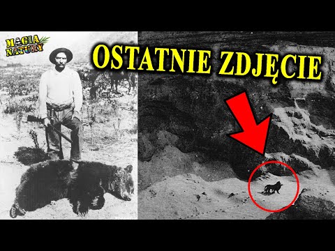 Ostatnie Zdjęcia WYMARŁYCH Zwierząt