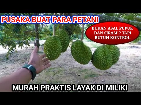 KONTROL Awal Dengan Piranti ini❗Agar Tanaman Subur