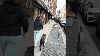 #GangStalking #targetedindividual  #ProActivePolicing #Threatassessment #Cops #FBI #NYC #NY