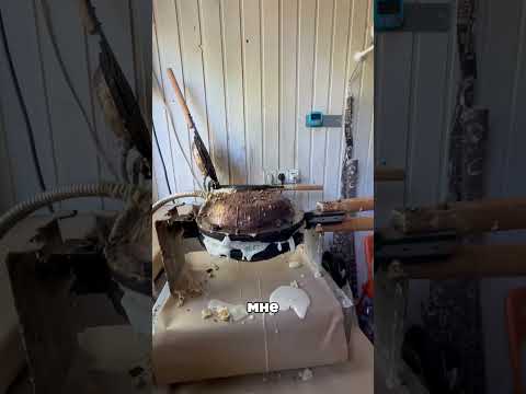 Вафля с грецким орехом .