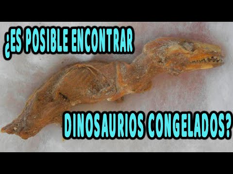 ¿Pueden Encontrar Dinosaurios Polares congelados en la actualidad?