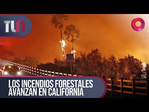 #TelenueveCentral | Los incendios forestales avanzan en California.