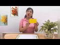 Understanding 'heo con ủn chữ nhật'