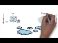 Properties and Changes of Matter