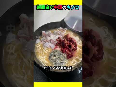 超面白い中国のキノコ