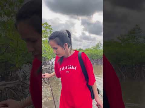 បន្ទាប់ពីចូលហាងរួច ចូលព្រៃរកងាវម្តង
