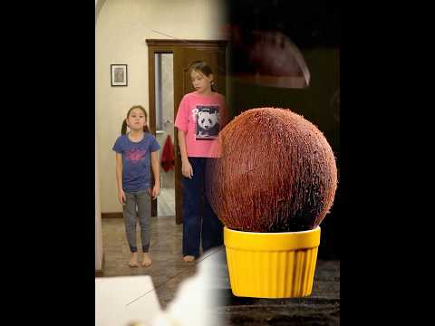 #youtube#foryour#foryoupage#fyp#youtubeshorts#viralshorts