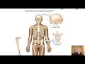 Bone Structure and Function Concepts