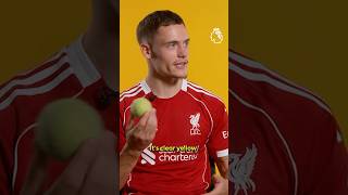 Is A Tennis Ball Green Or Yellow? 🎾